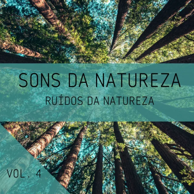 Sons Da Natureza Vol. 4, Ruídos Da Natureza