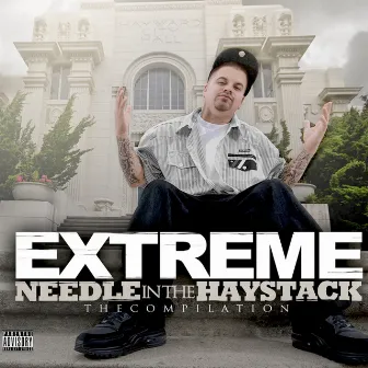 Needle in the Haystack by Extreme the MuhFugga