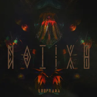 Nativo by Looprana