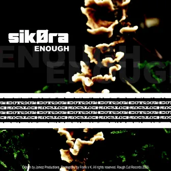 Enough by Sikora