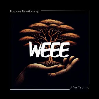 WEEE by Purpose Relationship