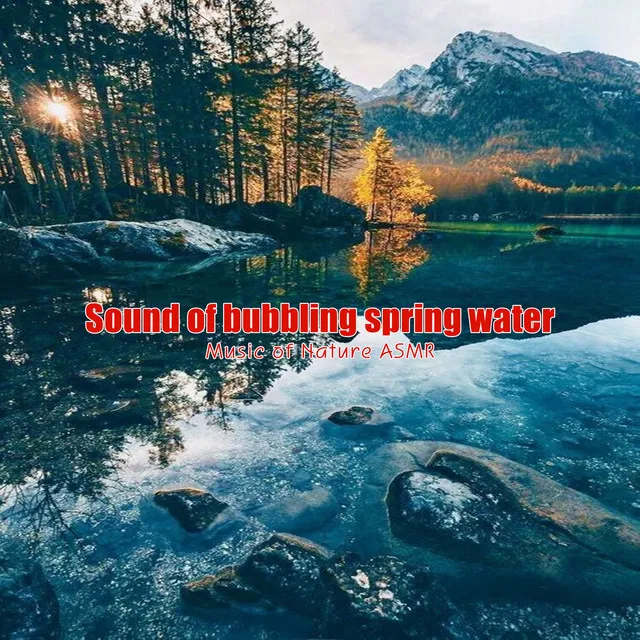 Sound of Bubbling Spring Water 17