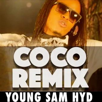 I'm In Love With Coco (Remix Version) by Young Sam