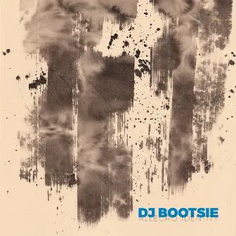 Allegro Identity by DJ Bootsie