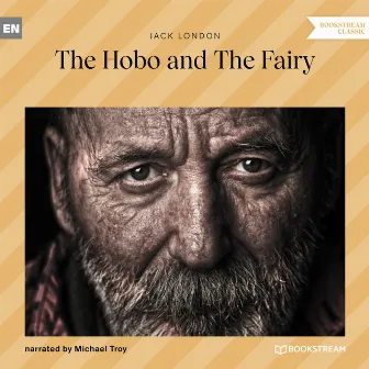 The Hobo and the Fairy (Unabridged) by Michael Troy