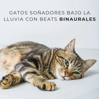 Gatos Soñadores Bajo La Lluvia Con Beats Binaurales by Estados de ánimo binaurales