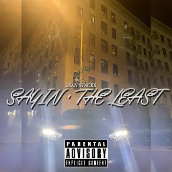 Sayin' The Least by Sean Stacks