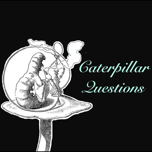 Caterpillar Questions