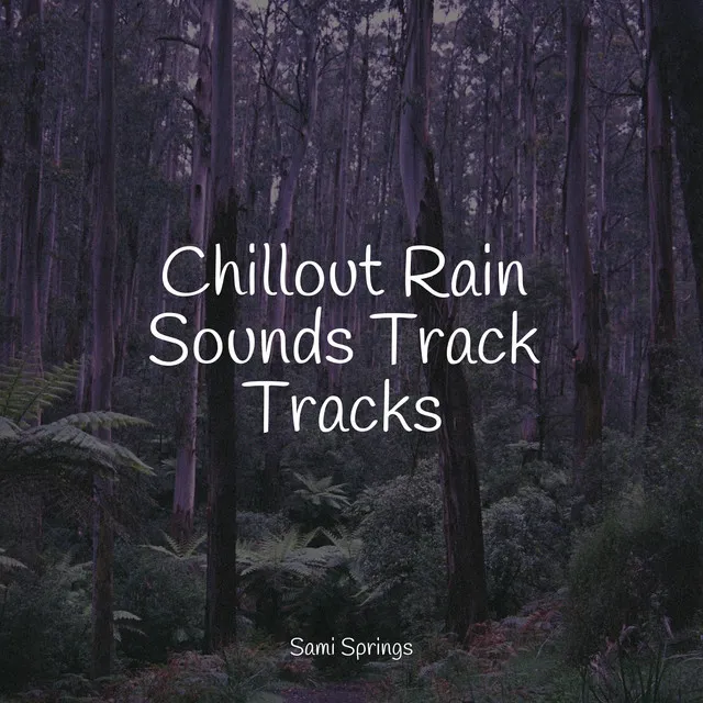 Chillout Rain Sounds Track Tracks