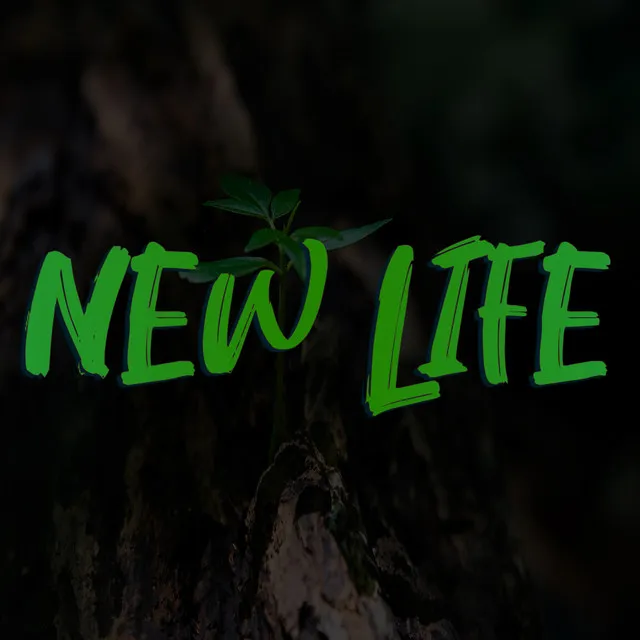 New Life