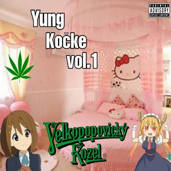 yung kočke vol.1 by Yung Kočke