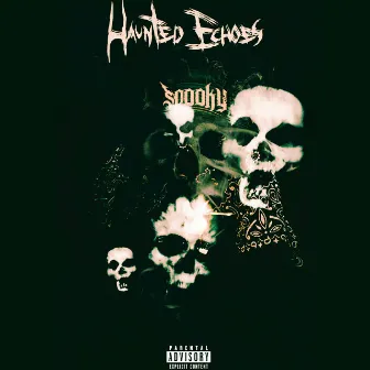 Haunted Echoes by Spooky Tru