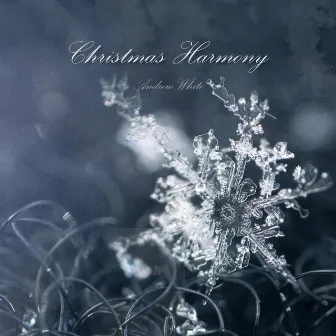 Christmas Harmony by Andrew White