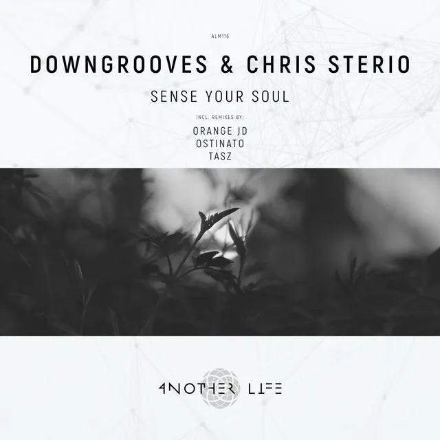 Sense Your Soul - Ostinato Remix