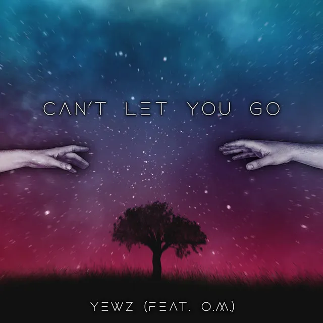 Can't Let You Go