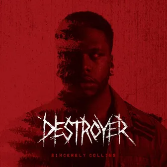 Destroyer by Sincerely Collins