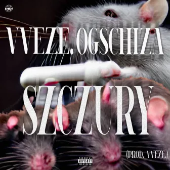 SZCZURY by VVEZE.