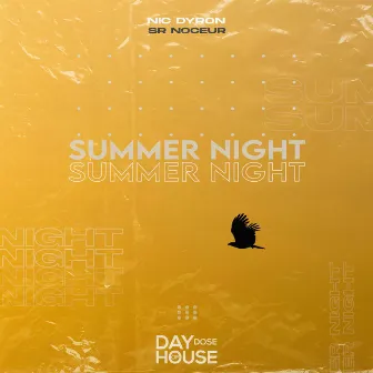 Summer Night by Nic Dyron