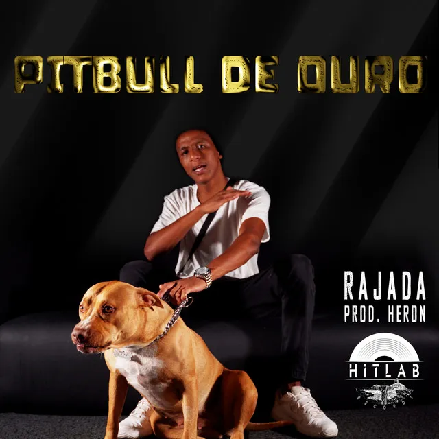 Pitbull De Ouro