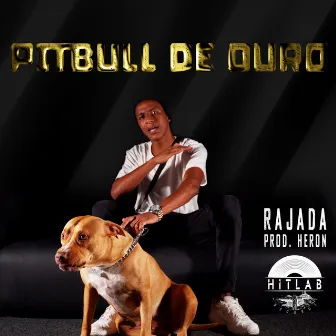 Pitbull De Ouro by HitLab