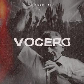 Vocero by Jey Martinez