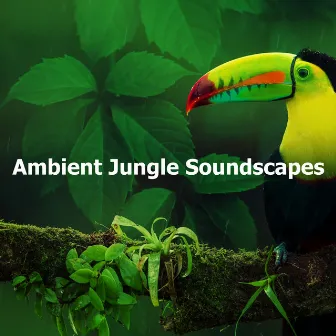 Ambient Jungle Soundscapes by Ambiente Forestal