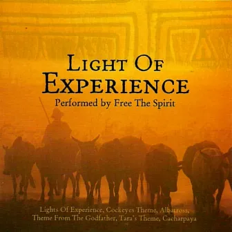 Light of Experience by Free The Spirit