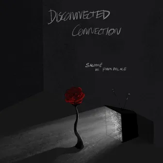 Disconnected Connection by Salomé