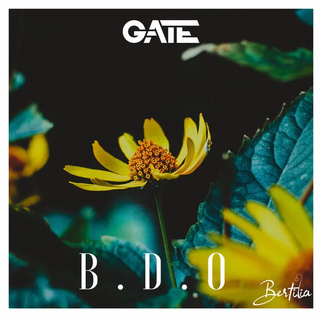 Bdo - Extended