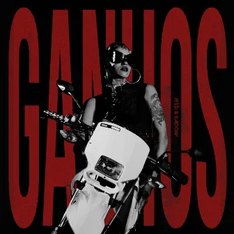 Ganhos by Kadow