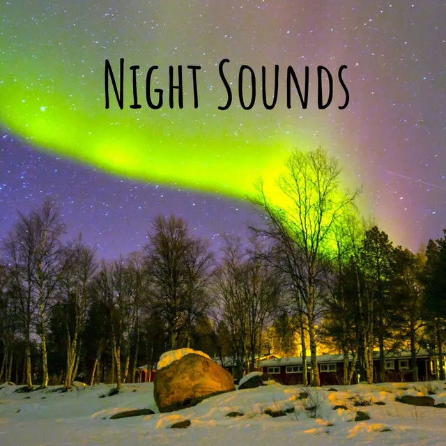 Night Sounds