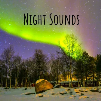 Night Sounds by Koh Lantana