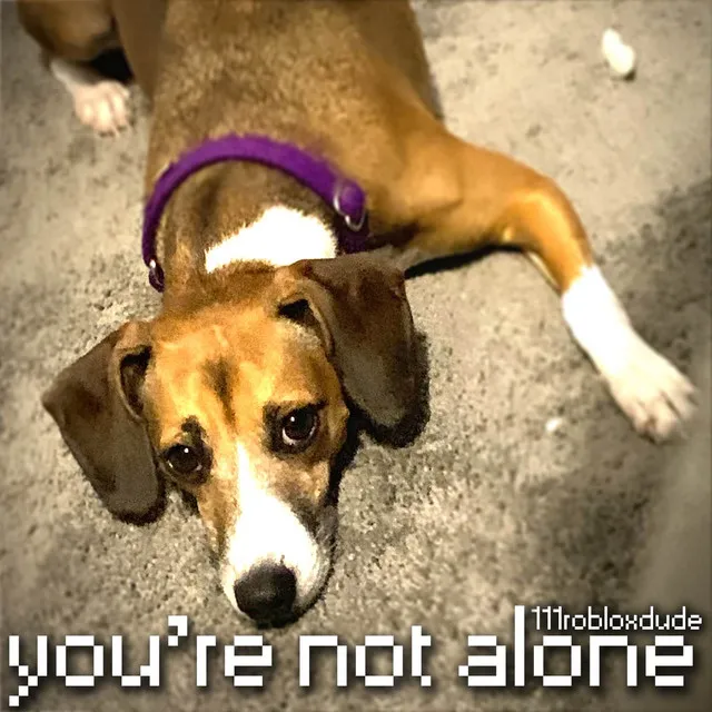 You're Not Alone