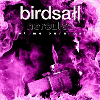 Let Me Burn Out by Birdsall