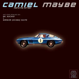 Maybe by Camiel