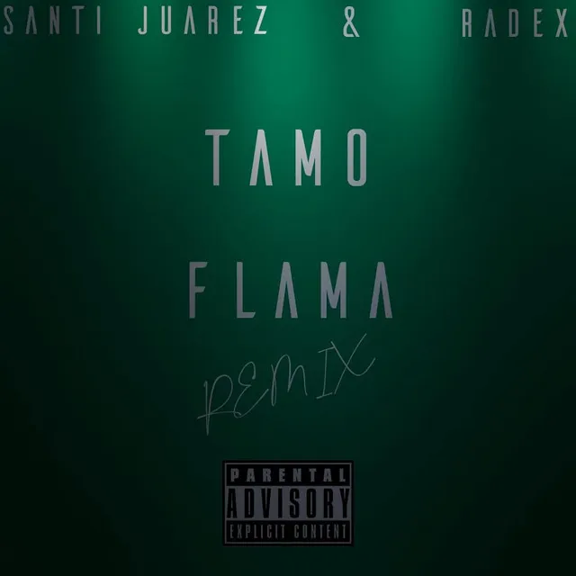 Tamo Flama Remix - Remix