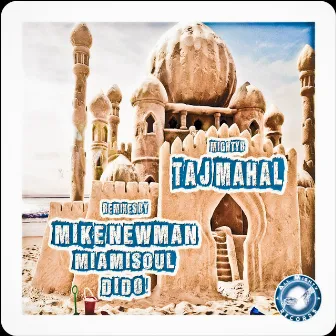 Taj Mahal - The Remixes by MightyB