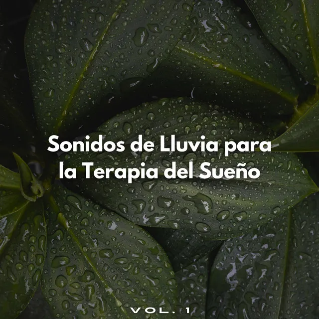 Una Lluvia Para Dormir