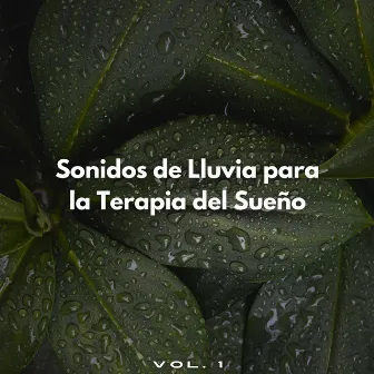 Sonidos De Lluvia Para La Terapia Del Sueño Vol. 1 by Sonidos para dormir Ruidos ambientales