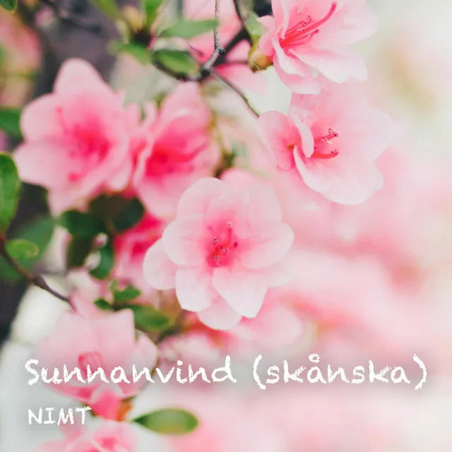 Sunnanvind - skånska