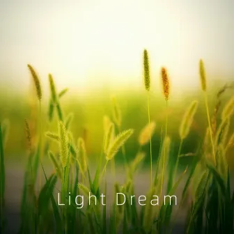 Light Dream by Jose