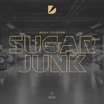 Sugar Junk by Remy Cooper