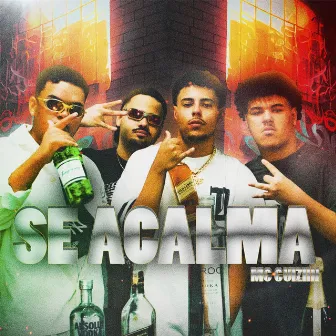 Se Acalma (feat. VeigaS) by Mc Guiziin