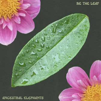 Be the Leaf by Ancestral Elephants