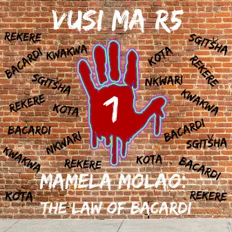 MAMELA MOLAO - THE LAW OF BACARDI 1 by Vusi Ma R5