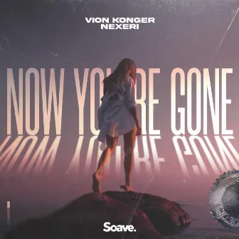 Now You're Gone by Vion Konger