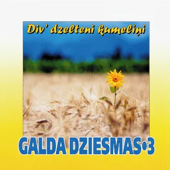 Div' dzelteni kumeliņi (Galda Dziesmas 3) by Duets 