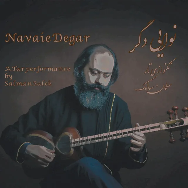 Navaie Degar - A Tar Performance by Salman Salek