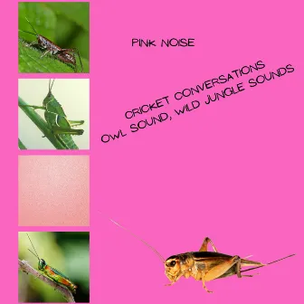 Cricket Conversations, Owl Sound, Wild Jungle Sounds, Pink Noise, Loopable by Epic Soundscapes