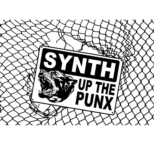 SYNTH UP THE PUNX